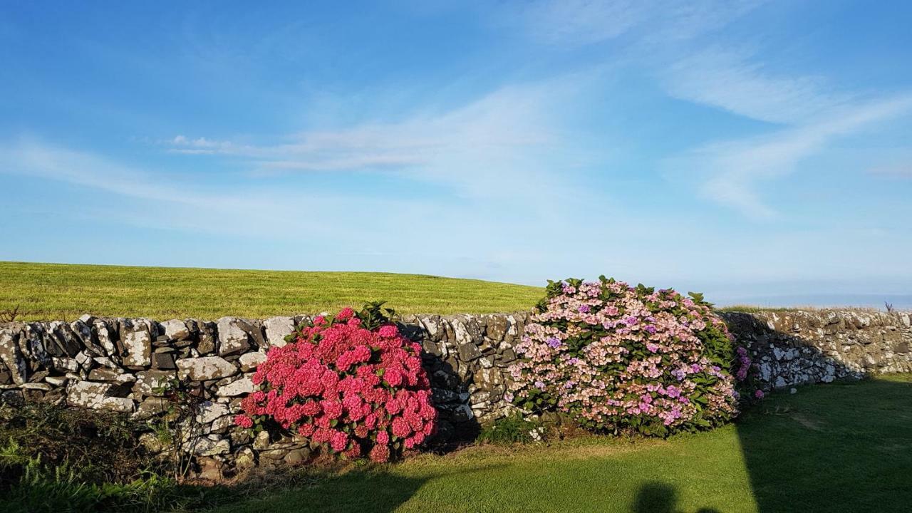 31 Laigh Isle Villa Isle of Whithorn Екстериор снимка